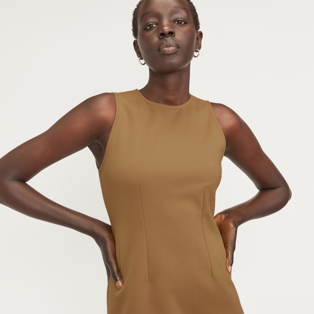 NWT Everlane Tan Mini Dress
